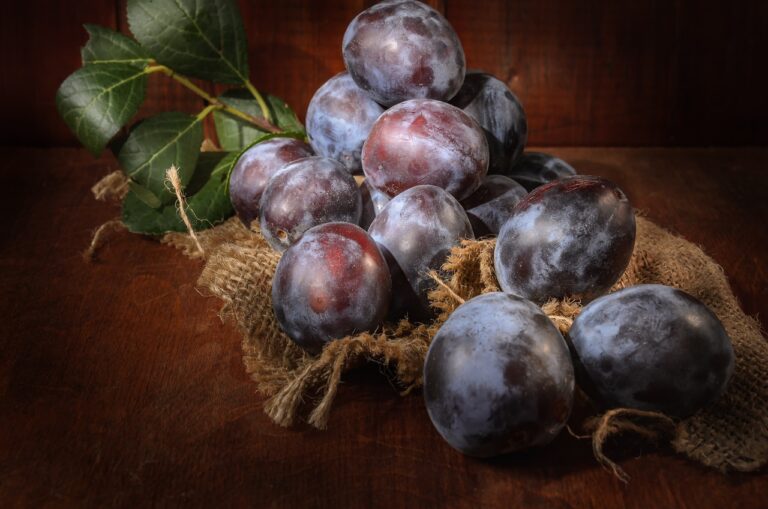 fruit, plum, berries-6897122.jpg